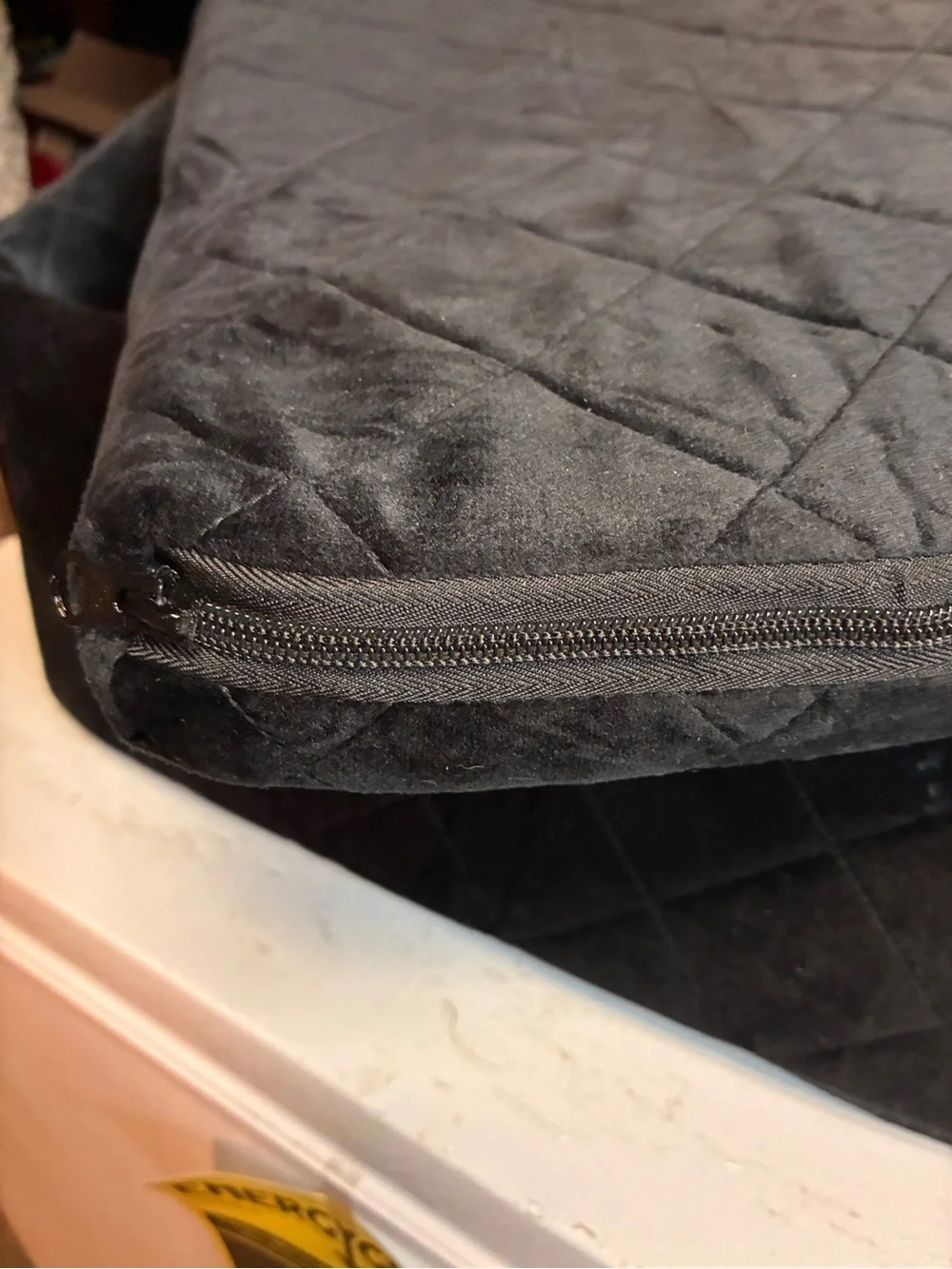 Booster car seat for pets